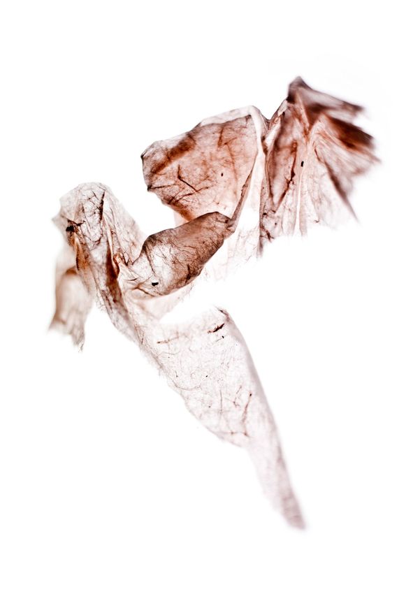 Materias Inquietas - Eugeni Aguiló Photographer