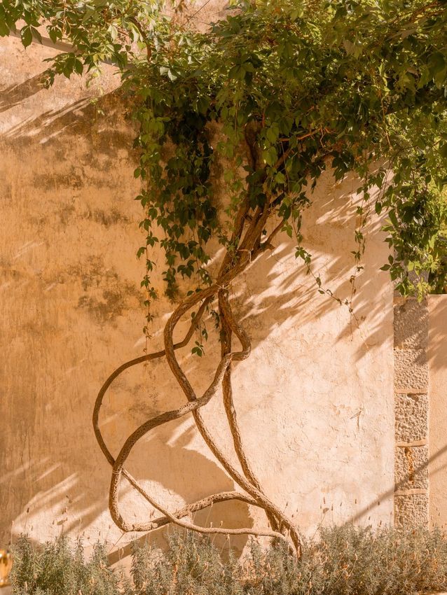 Santa Teresa - Eugeni Aguiló Photographer