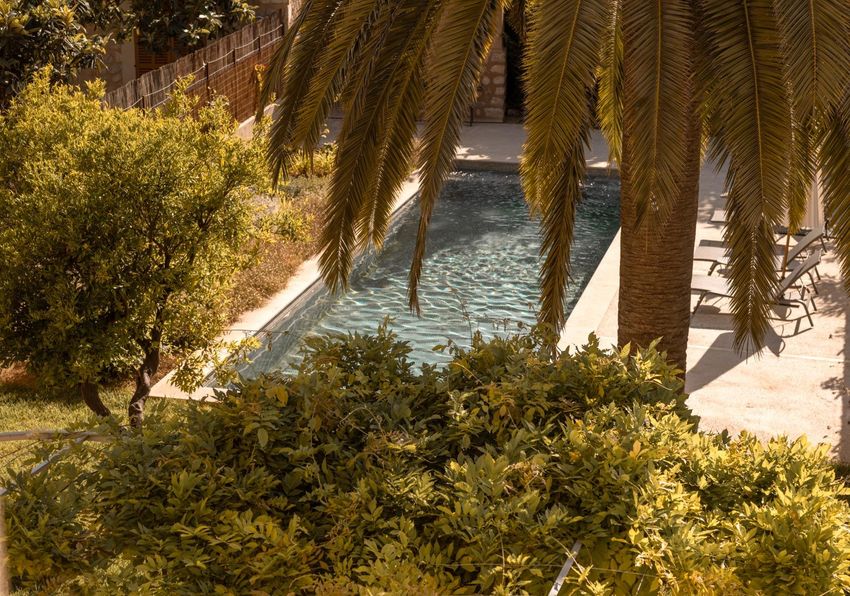 Santa Teresa - Eugeni Aguiló Photographer